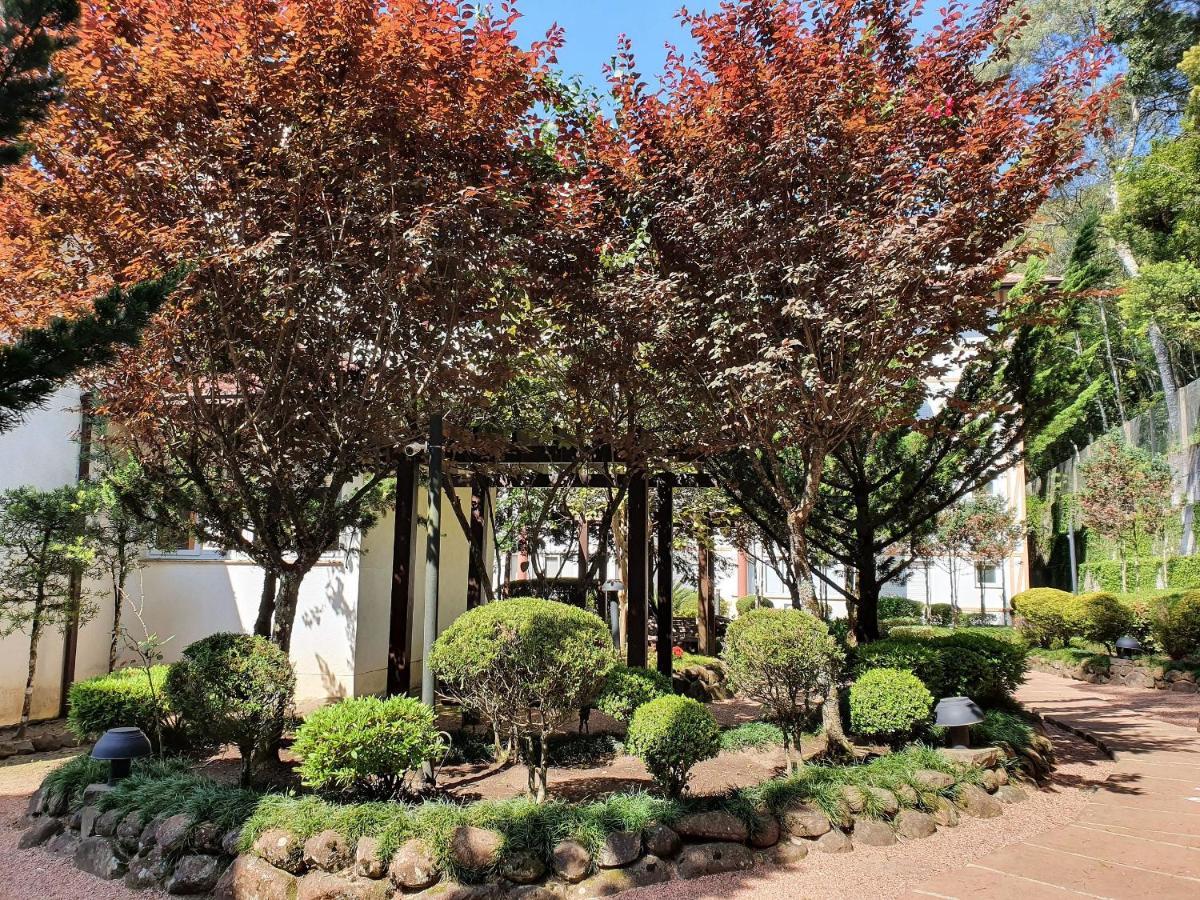 Apto No Centro De Gramado Com Piscina Termica מראה חיצוני תמונה